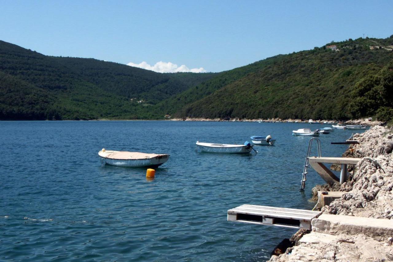 Apartments By The Sea Duga Luka - Prtlog, Labin - 2335 المظهر الخارجي الصورة