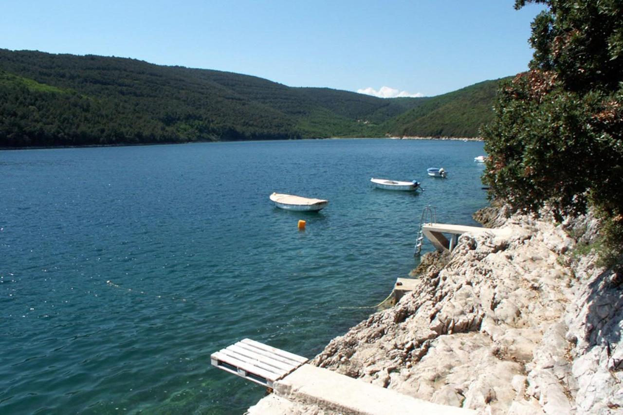 Apartments By The Sea Duga Luka - Prtlog, Labin - 2335 المظهر الخارجي الصورة